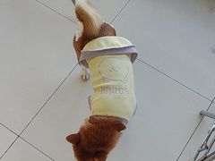 -怪兽屋·羊驼·猫咖·狗咖(俊华广场店)