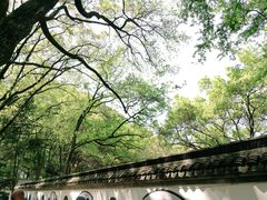 -上海佘山国家森林公园天马山园