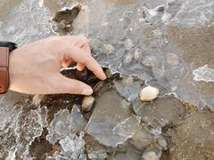 -天津东疆湾沙滩景区