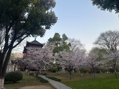 -堤角公园