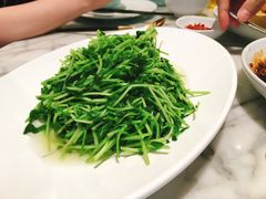 -蝶园·装修中(BFC外滩金融中心店)