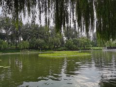 -中国农业博物馆