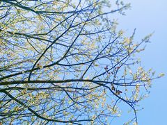 -西昌邛海宾馆