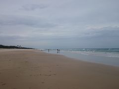 -黄金海岸