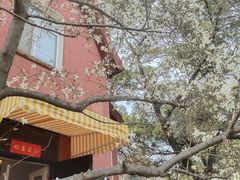 -荒岛书店(黄县路店)