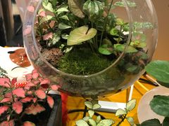 -相思蜜哒(万象天地店)