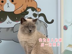 -诺威宠物医院(官邸分院)