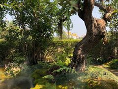 -Chom Cafe and Restaurant