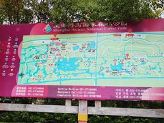 -上海海湾国家森林公园