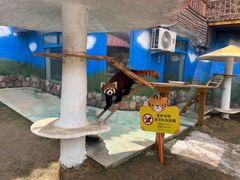 -栾川竹海野生动物园