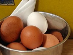 -豚骨王拉面(Orchid Hotel)