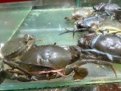-大茄来海鲜餐厅(亚洲城分行)