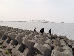 -上海滨江森林公园