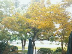 -浙江西子宾馆·瑶园咖啡厅