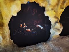 -正佳自然科学博物馆