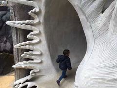-疯狂屋