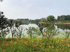 -东郊湿地公园