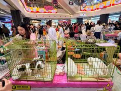 -友谊阳光城