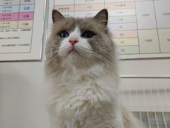 -宠物家(大兴旧宫店)