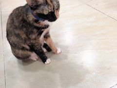 -玉椰林甜品店(创始店)