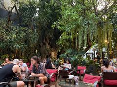 -Fern Forest Cafe