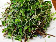香椿苗黑豆腐丝-渝乡老妈·北京烤鸭(六里桥店)