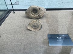 -中华赏石园