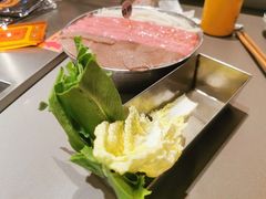 -怂火锅厂(海口国贸店)