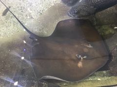 -鸿通城购物中心