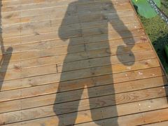 -北纬44度·金珠花海休闲农业旅游景区