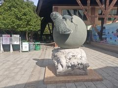-广东惠东海龟国家级自然保护区