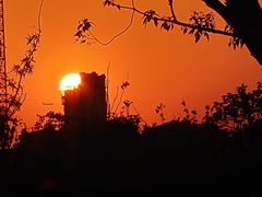 -上海植物园-4号门售票处