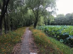 -浙江大学(紫金港校区)