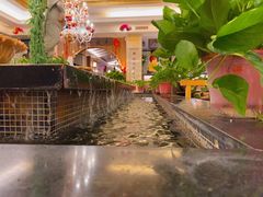 -汤泉良子.足疗按摩.SPA(中关村店)