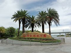 -宝安西湾红树林湿地公园