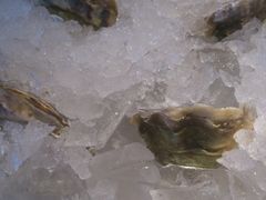 -Oyster Talks 四度蚝法餐厅