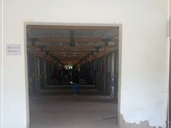 -北京群众马术培训基地