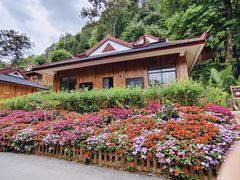 -野象谷景区