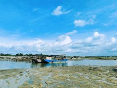 -北海金海湾红树林生态旅游区