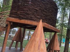 -黄海国家森林公园