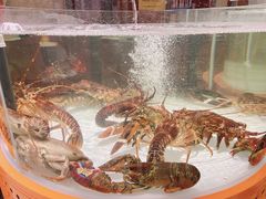 -万龙洲海鲜(大兴绿地缤纷城店)