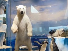 -国家自然博物馆