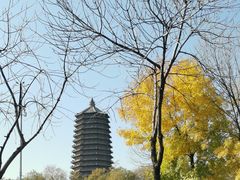 -玲珑塔公园