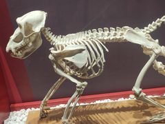 -国家自然博物馆