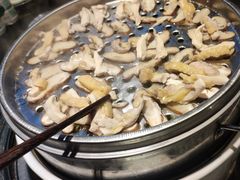 -先机泉水鸡汤(南山老君洞店)