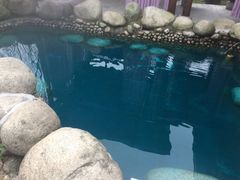 -咸宁万豪温泉谷度假区