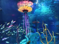 -沈阳海洋探索中心