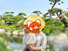 -罗红摄影艺术馆