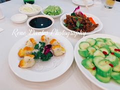 -九花山烤鸭店