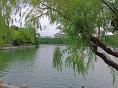 -西湖公园(鼓楼区)